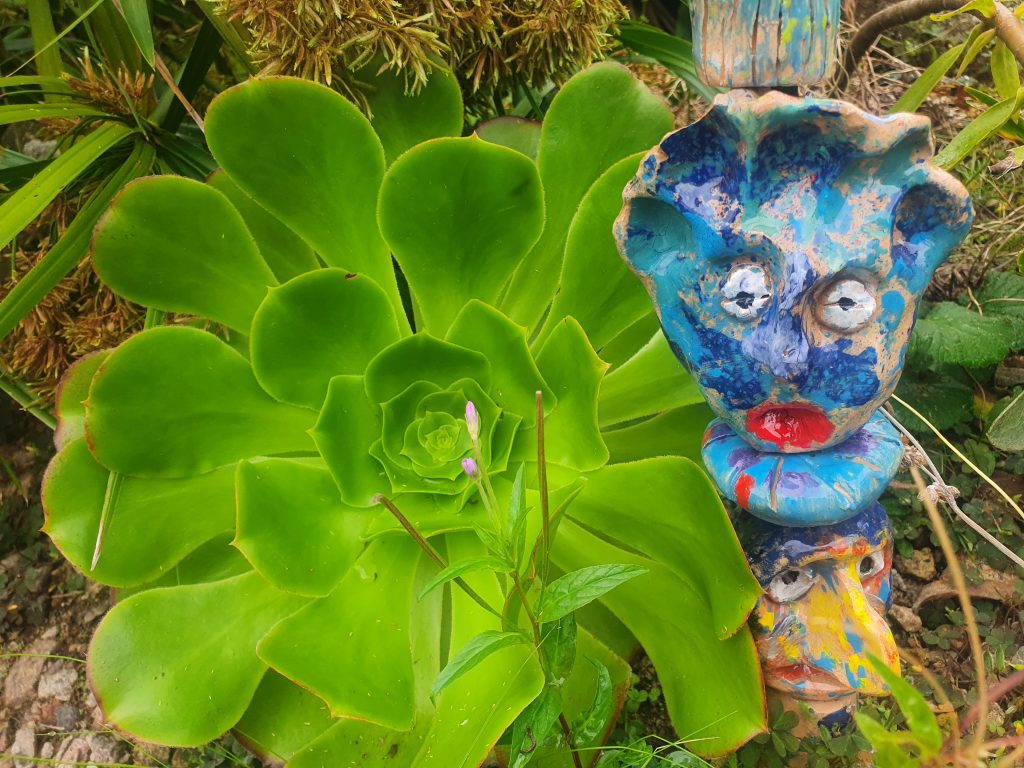 A large succulent plant on the left with a sculpture of a face on the right
