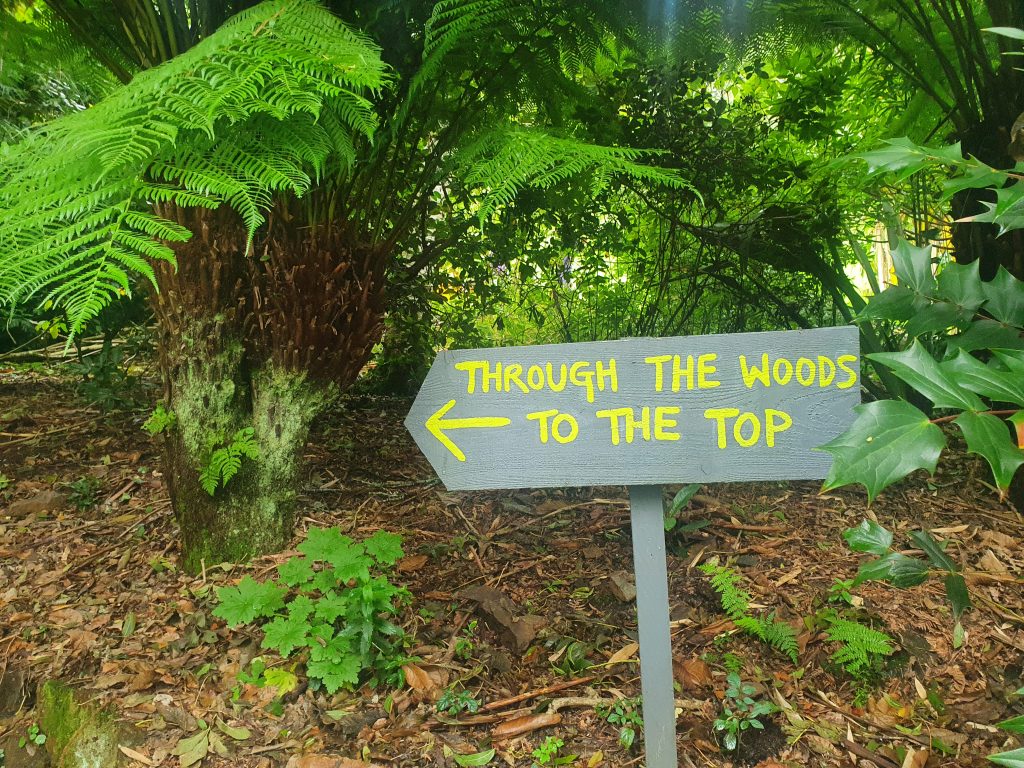 A wooden sign saying Through the woods to the top surrounded by ferns and plants
