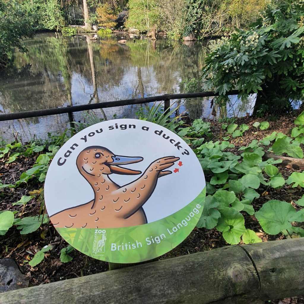 A circle sign with a drawing of a duck using sign language. It reads "can you sign a duck?"