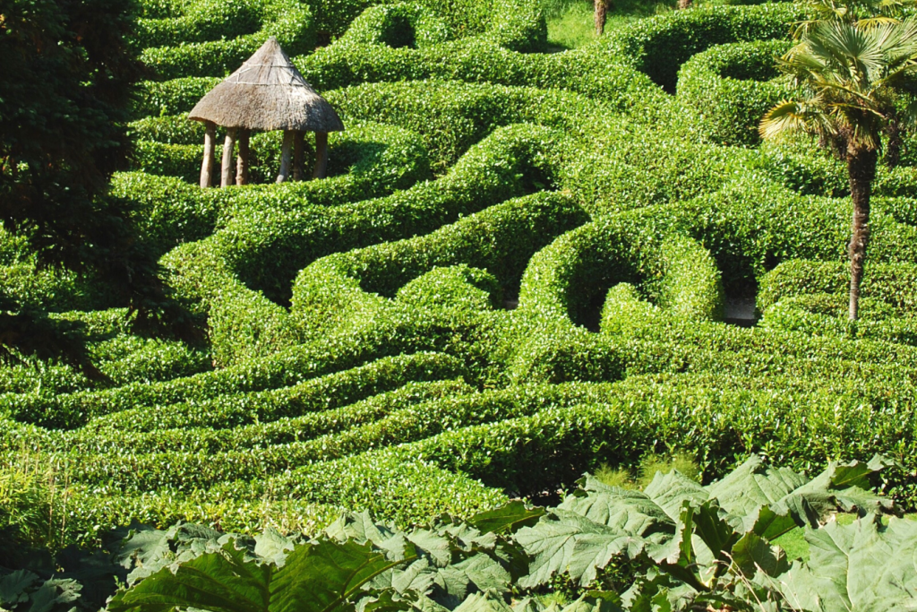 The maze at Glendrgan Gardens, Cornwall
