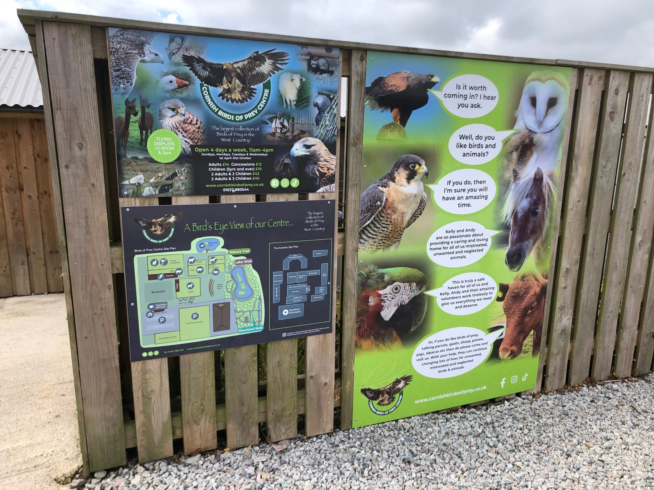 Birds of Prey - The Cornish Birds of Prey Centre