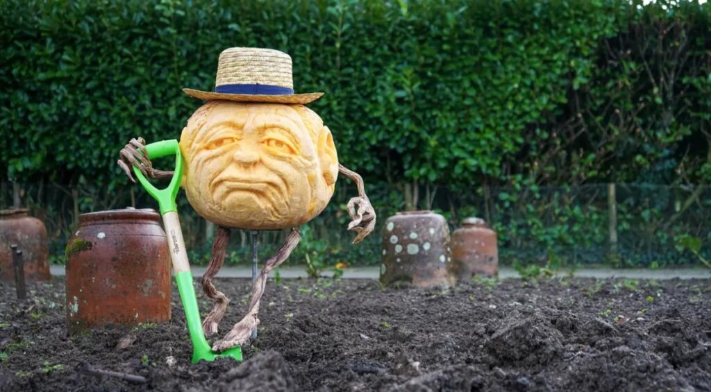 The Kitchen Garden Pumpkin at Heligan, a pumpkin carved like an old man with twigs for legs and a hat, and a shovel digging in the earth