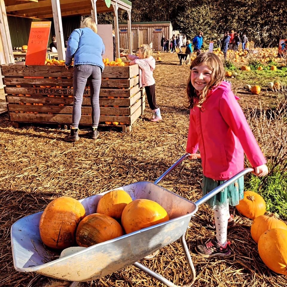 A young girl with a barrowful of pumpkins at Trevaskis Farm in Cornwall