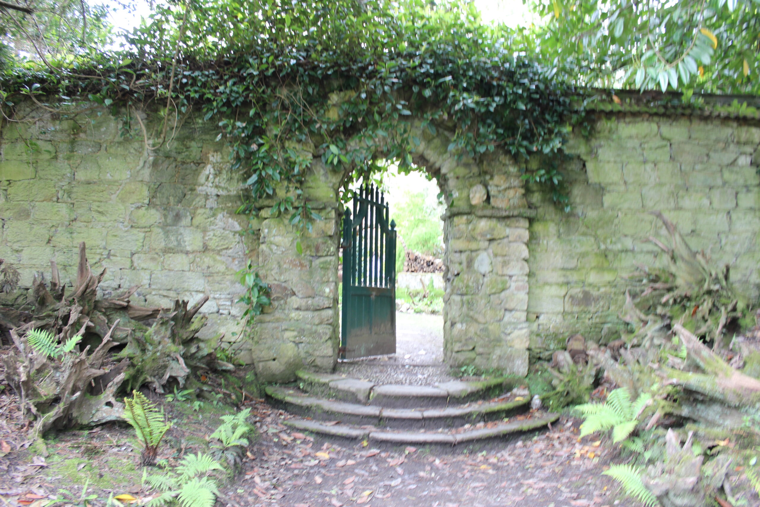 Entrance to the Walled Garden from Parc Lye at Enys Gardens. There are three curved steps to an arched doorway which leads to the garden.