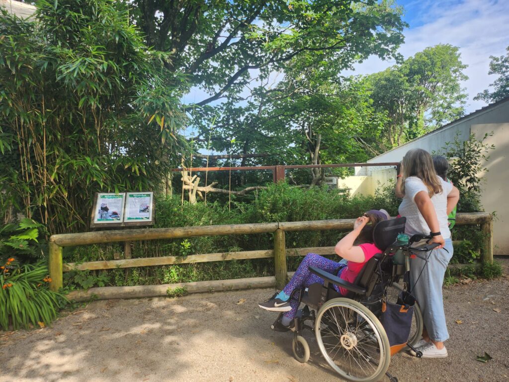 Sam and Holly, two of the Access Cornwall volunteers exploring Paradise Park. Sam is standing behind Holly who is in her wheelchair looking at the red panda enclosure